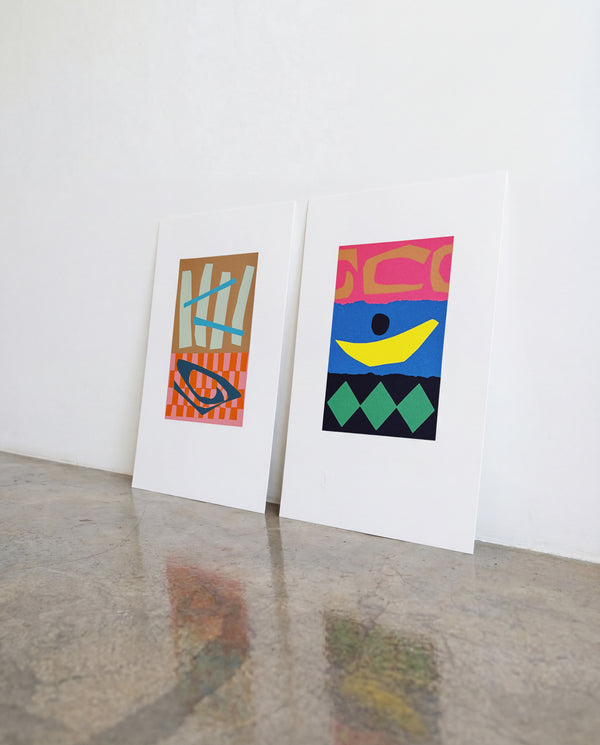 Combo Prints Bricabraque