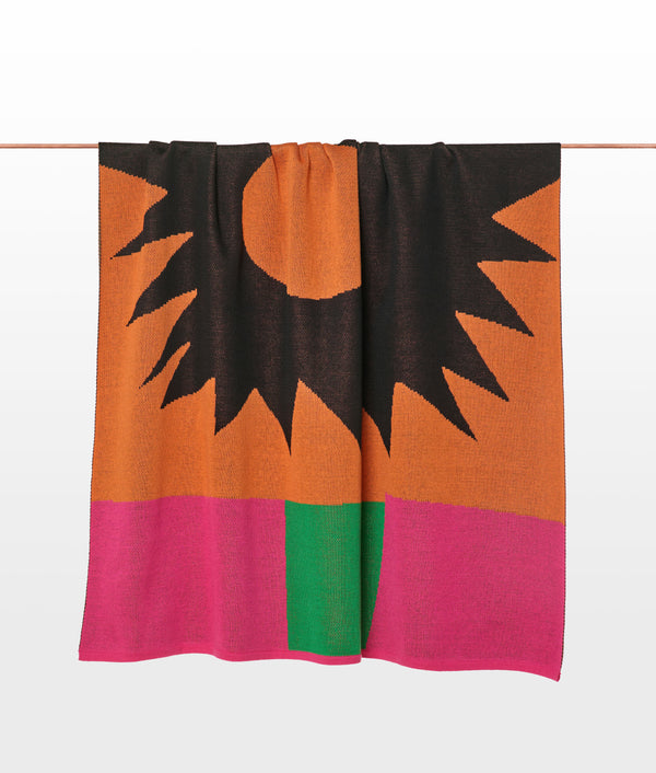 Manta Bricabraque 03